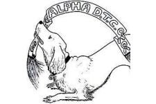 Logo for Alpha Dog Training London Logo for Alpha Dog Training London