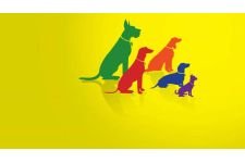 Logo for Follow My lead Logo for Follow My lead