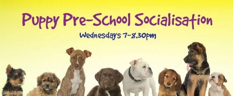 Puppy Pre-School