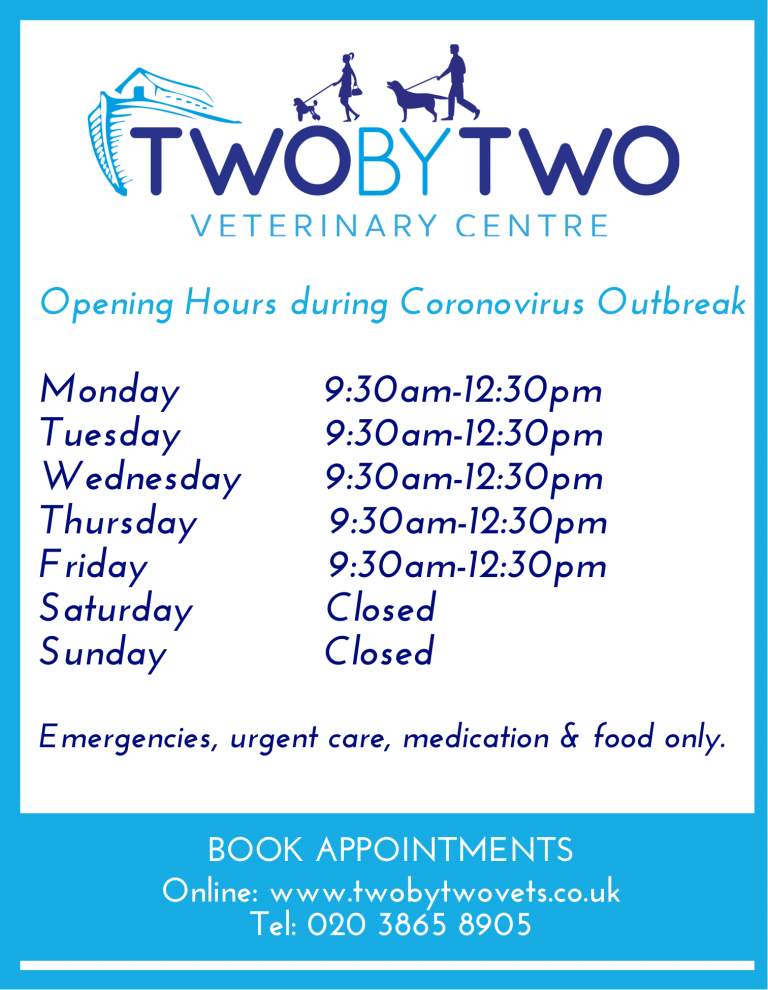 Opening Hours