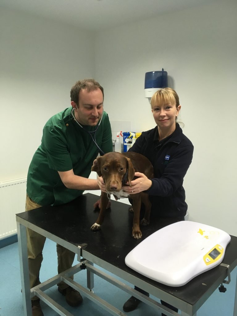 RSPCA Assistance Scheme