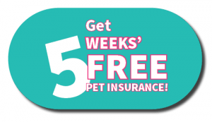 Get 5 weeks pet insurance free! Vetsure